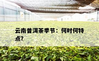 云南普洱茶季节：何时何特点？