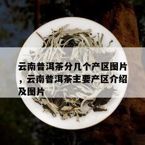 云南普洱茶分几个产区图片，云南普洱茶主要产区介绍及图片