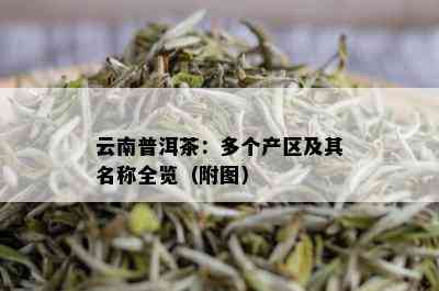 云南普洱茶：多个产区及其名称全览（附图）