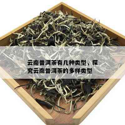 云南普洱茶有几种类型，探究云南普洱茶的多样类型