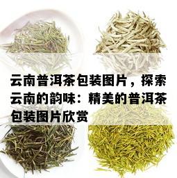 云南普洱茶包装图片，探索云南的韵味：精美的普洱茶包装图片欣赏