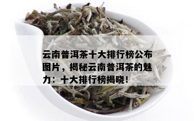 云南普洱茶十大排行榜公布图片，揭秘云南普洱茶的魅力：十大排行榜揭晓！