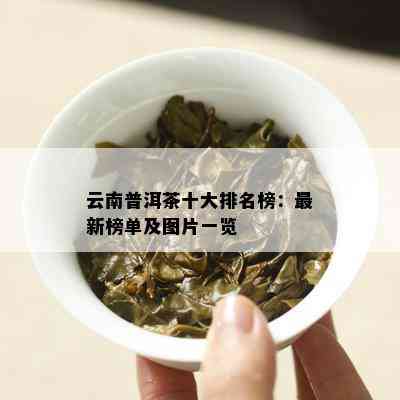 云南普洱茶十大排名榜：最新榜单及图片一览