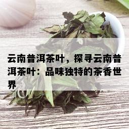 云南普洱茶叶，探寻云南普洱茶叶：品味独特的茶香世界