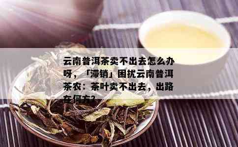 云南普洱茶卖不出去怎么办呀，「滞销」困扰云南普洱茶农：茶叶卖不出去，出路在何方？