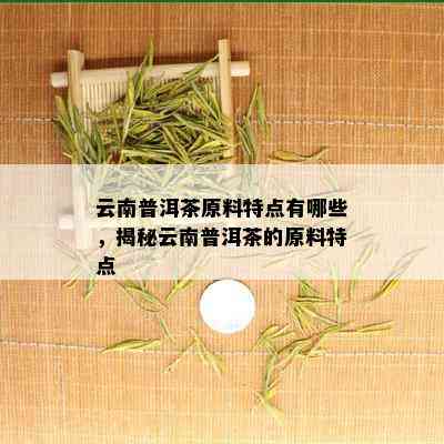 云南普洱茶原料特点有哪些，揭秘云南普洱茶的原料特点