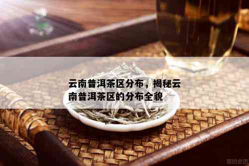 云南普洱茶区分布，揭秘云南普洱茶区的分布全貌