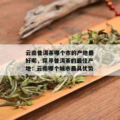 云南普洱茶哪个市的产地更好呢，探寻普洱茶的更佳产地：云南哪个城市更具优势？