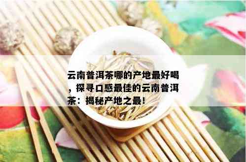 云南普洱茶哪的产地更好喝，探寻口感更佳的云南普洱茶：揭秘产地之最！