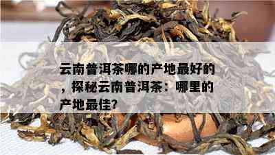 云南普洱茶哪的产地更好的，探秘云南普洱茶：哪里的产地更佳？