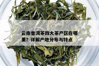 云南普洱茶四大茶产区在哪里？详解产地分布与特点