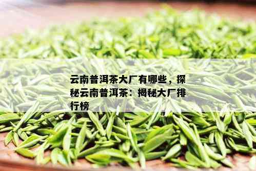 云南普洱茶大厂有哪些，探秘云南普洱茶：揭秘大厂排行榜