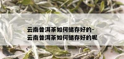 云南普洱茶如何储存好的-云南普洱茶如何储存好的呢