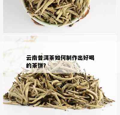 云南普洱茶如何制作出好喝的茶饼？