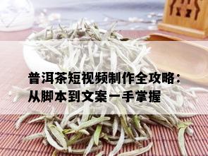 普洱茶短视频制作全攻略：从脚本到文案一手掌握