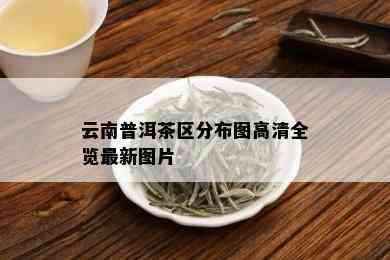 云南普洱茶区分布图高清全览最新图片