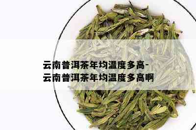 云南普洱茶年均温度多高-云南普洱茶年均温度多高啊