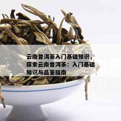 云南普洱茶入门基础知识，探索云南普洱茶：入门基础知识与品鉴指南