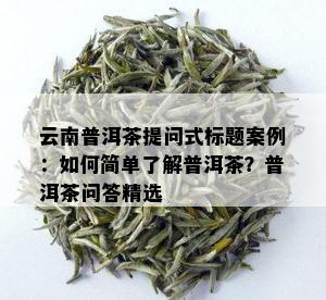 云南普洱茶提问式标题案例：如何简单了解普洱茶？普洱茶问答精选