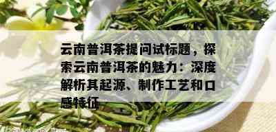 云南普洱茶提问试标题，探索云南普洱茶的魅力：深度解析其起源、制作工艺和口感特征