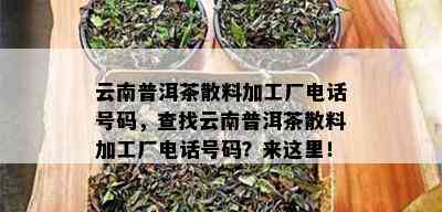 云南普洱茶散料加工厂电话号码，查找云南普洱茶散料加工厂电话号码？来这里！