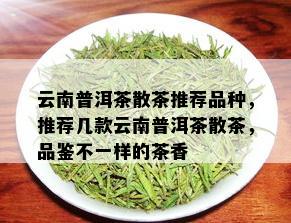 云南普洱茶散茶推荐品种，推荐几款云南普洱茶散茶，品鉴不一样的茶香