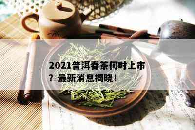 2021普洱春茶何时上市？最新消息揭晓！