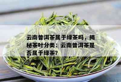 云南普洱茶属于绿茶吗，揭秘茶叶分类：云南普洱茶是否属于绿茶？