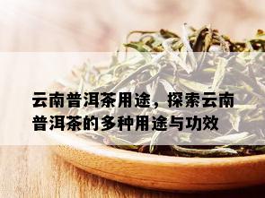 云南普洱茶用途，探索云南普洱茶的多种用途与功效