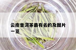 云南普洱茶最有名的及图片一览