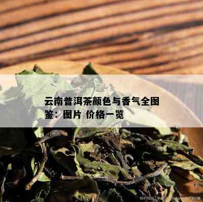 云南普洱茶颜色与香气全图鉴：图片 价格一览