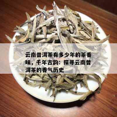 云南普洱茶有多少年的茶香味，千年古韵：探寻云南普洱茶的香气历史