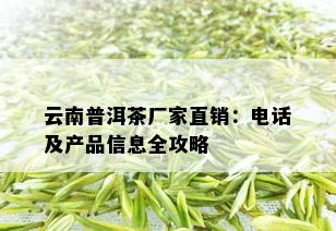 云南普洱茶厂家直销：电话及产品信息全攻略