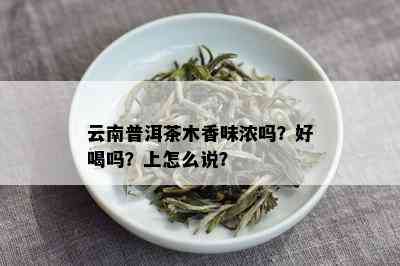 云南普洱茶木香味浓吗？好喝吗？上怎么说？