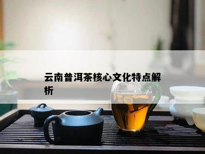 云南普洱茶核心文化特点解析