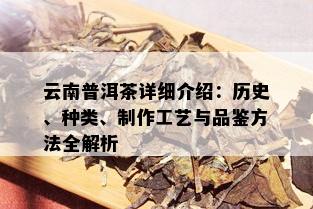 云南普洱茶详细介绍：历史、种类、制作工艺与品鉴方法全解析