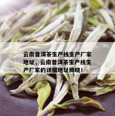 云南普洱茶生产线生产厂家地址，云南普洱茶生产线生产厂家的详细地址揭晓！