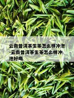 云南普洱茶生茶怎么样冲泡-云南普洱茶生茶怎么样冲泡好喝