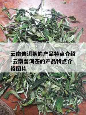 云南普洱茶的产品特点介绍-云南普洱茶的产品特点介绍图片