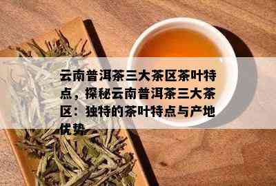 云南普洱茶三大茶区茶叶特点，探秘云南普洱茶三大茶区：独特的茶叶特点与产地优势