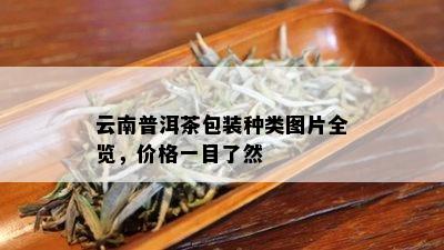 云南普洱茶包装种类图片全览，价格一目了然