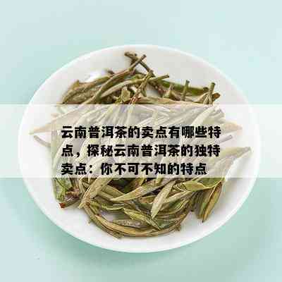 云南普洱茶的卖点有哪些特点，探秘云南普洱茶的独特卖点：你不可不知的特点