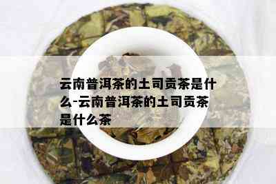 云南普洱茶的土司贡茶是什么-云南普洱茶的土司贡茶是什么茶