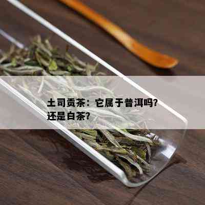 土司贡茶：它属于普洱吗？还是白茶？