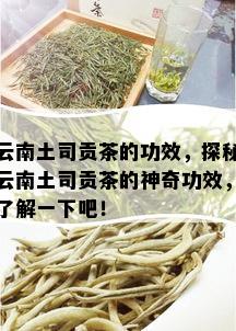 云南土司贡茶的功效，探秘云南土司贡茶的神奇功效，了解一下吧！