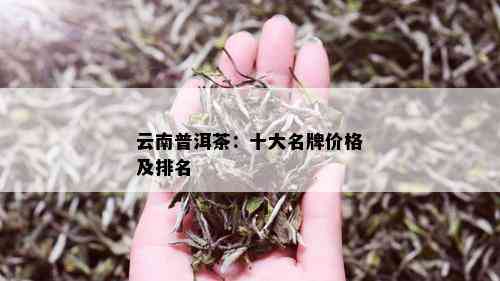 云南普洱茶：十大名牌价格及排名