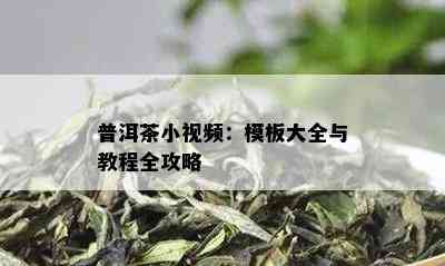 普洱茶小视频：模板大全与教程全攻略