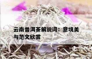 云南普洱茶解说词：意境美与范文欣赏