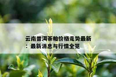 云南普洱茶粕价格走势最新：最新消息与行情全览