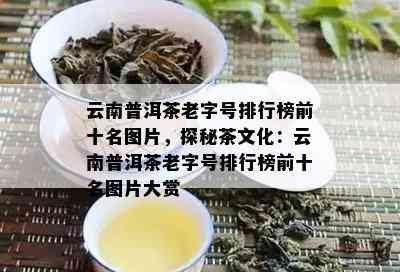 云南普洱茶老字号排行榜前十名图片，探秘茶文化：云南普洱茶老字号排行榜前十名图片大赏